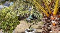 Le jardin