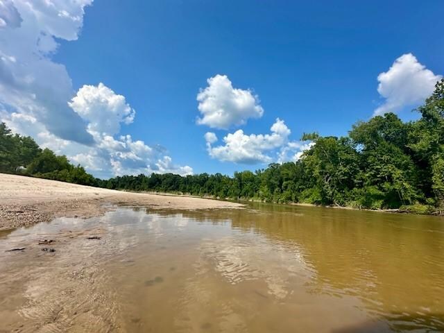 Our view of the Leaf River. It was a beautiful day.