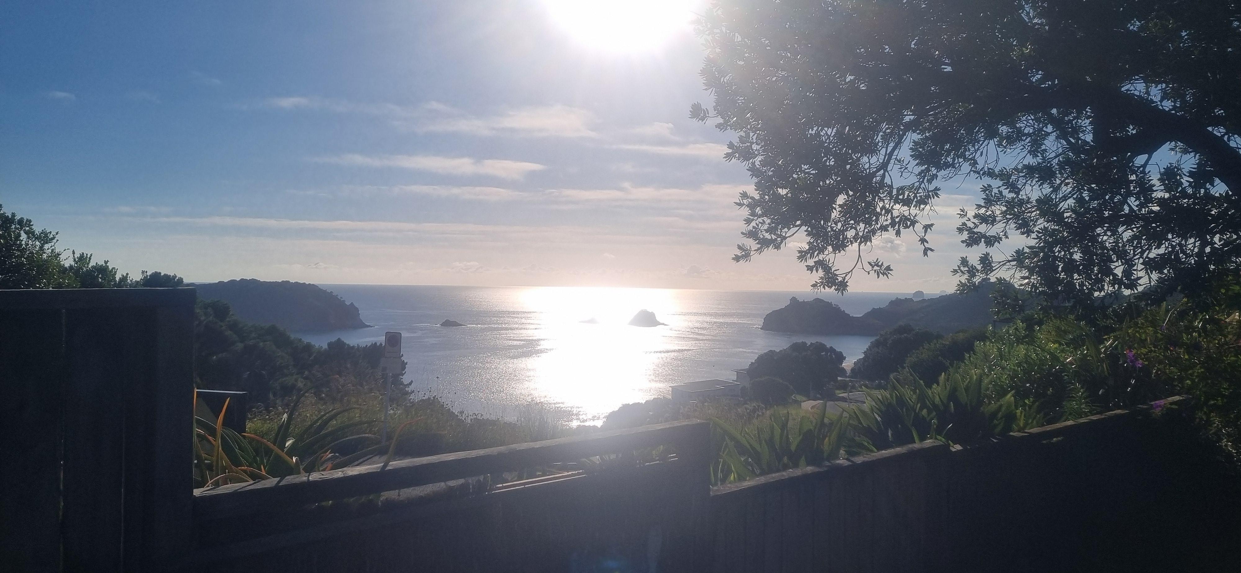 Morning views from the deck