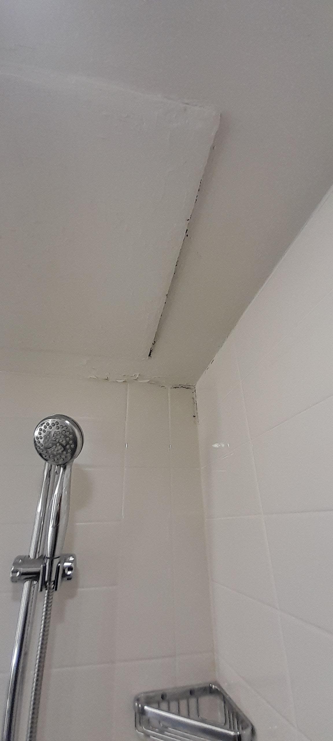 Mold and flaky paint