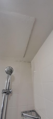 Mold and flaky paint