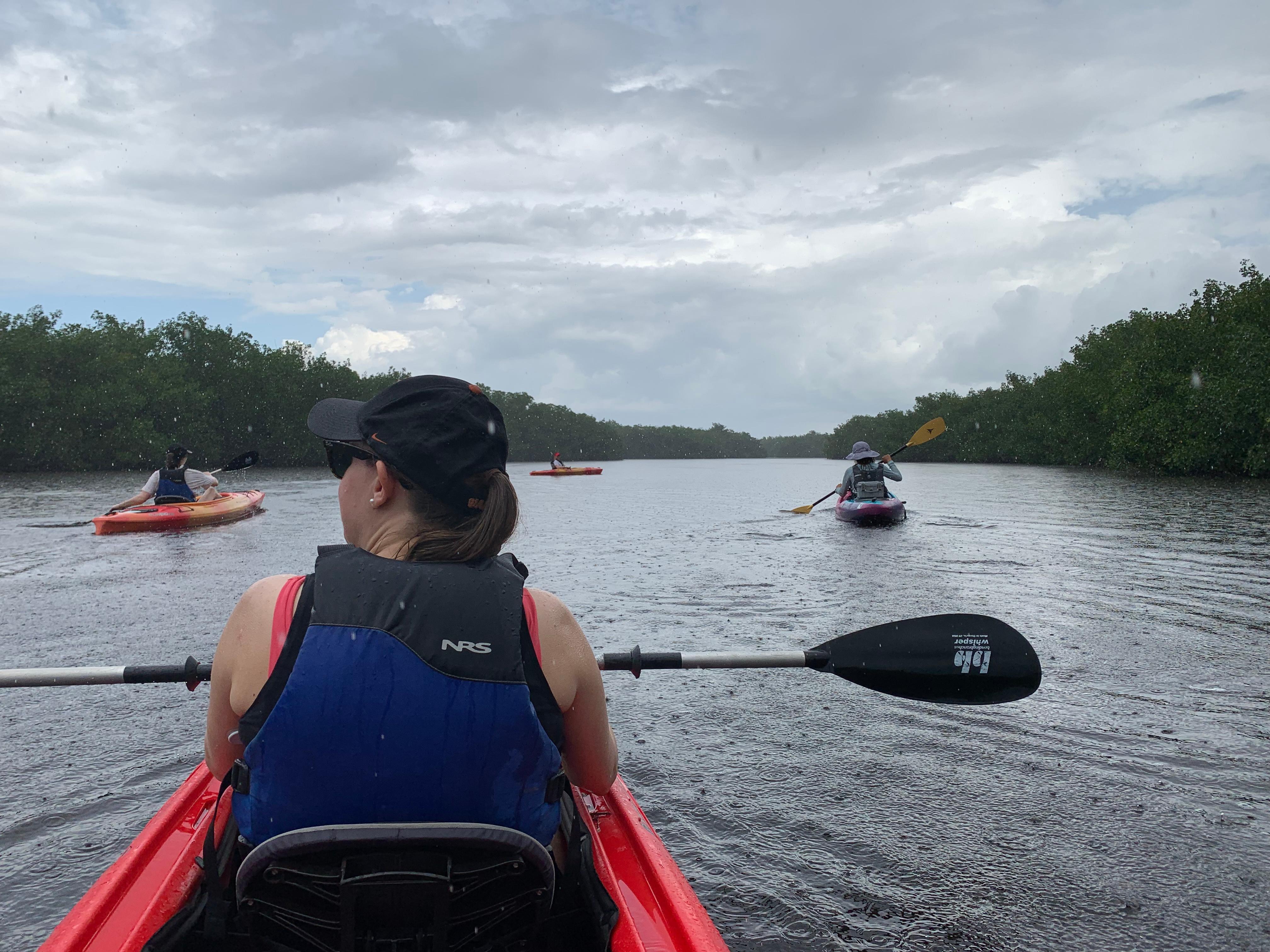 Kayak tour (available in town)