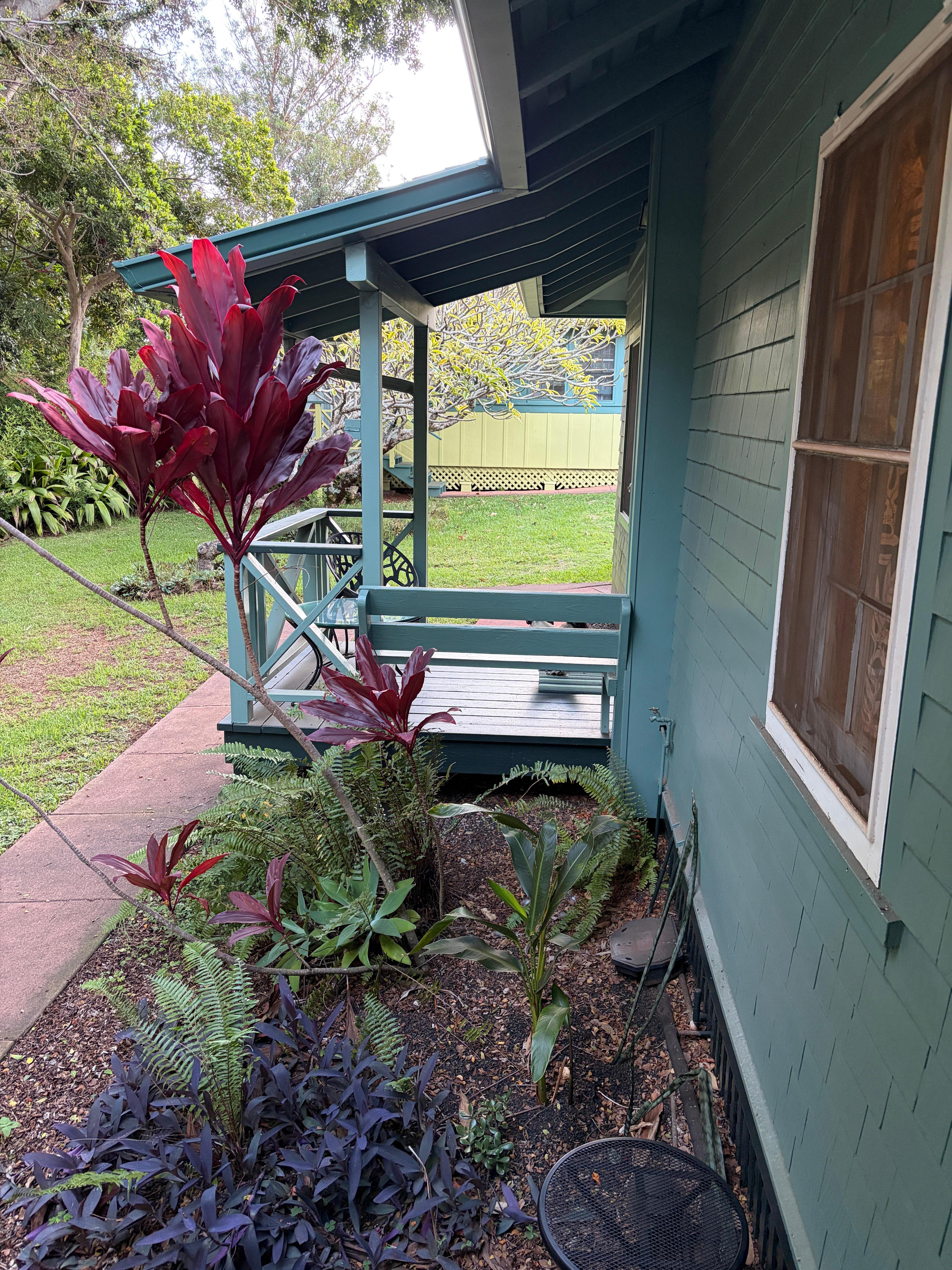 Our morning wake up call with the chickens. 