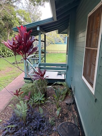 Our morning wake up call with the chickens.