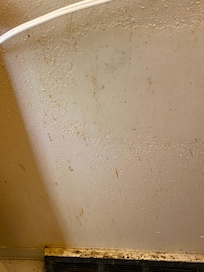 Stained/filthy bathroom wall
