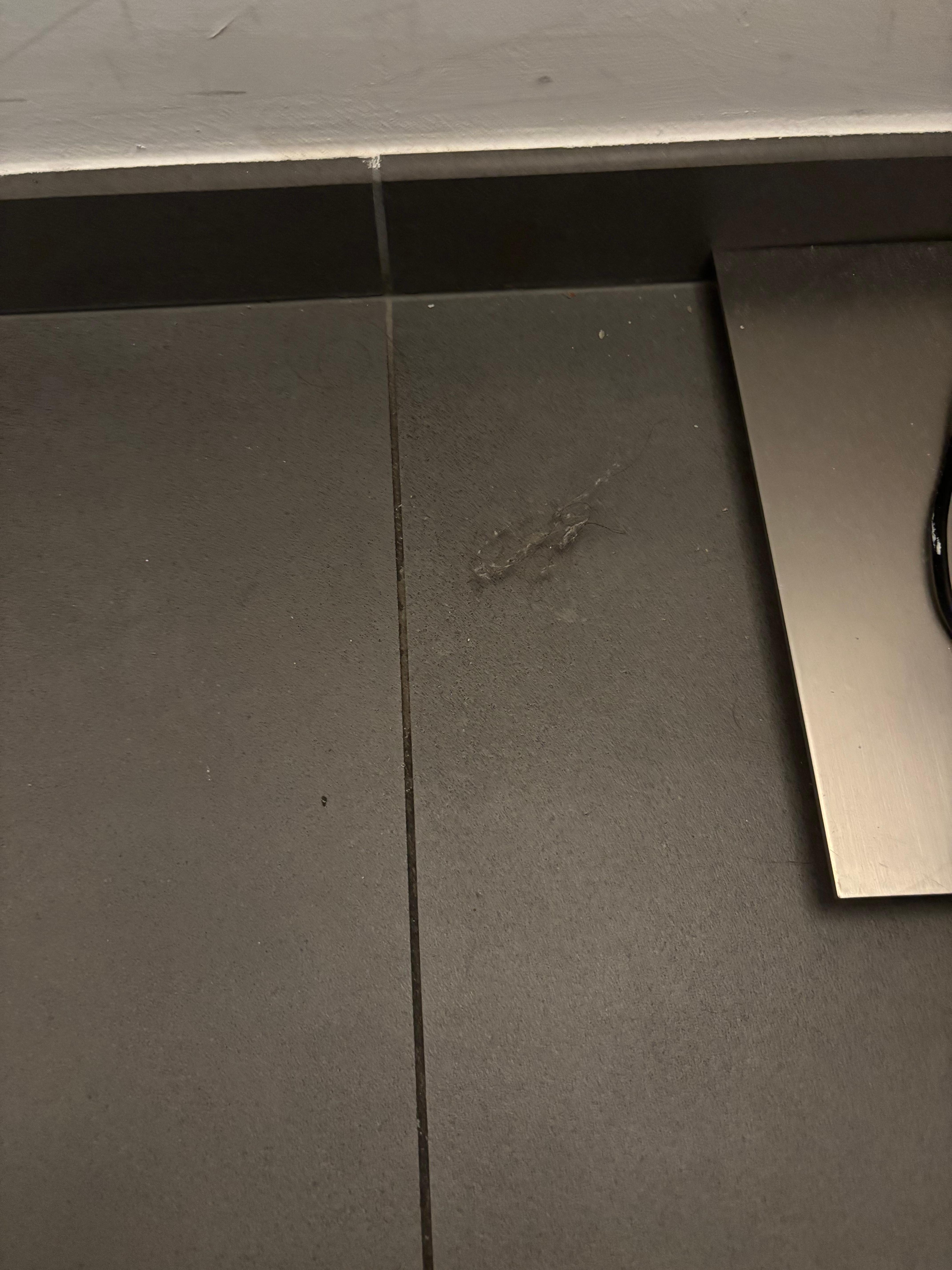 Hair and dust ball on floor