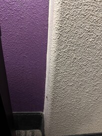 Photo of roach on wall. The one on desk scurried away too quickly before I could capture a photo of it.