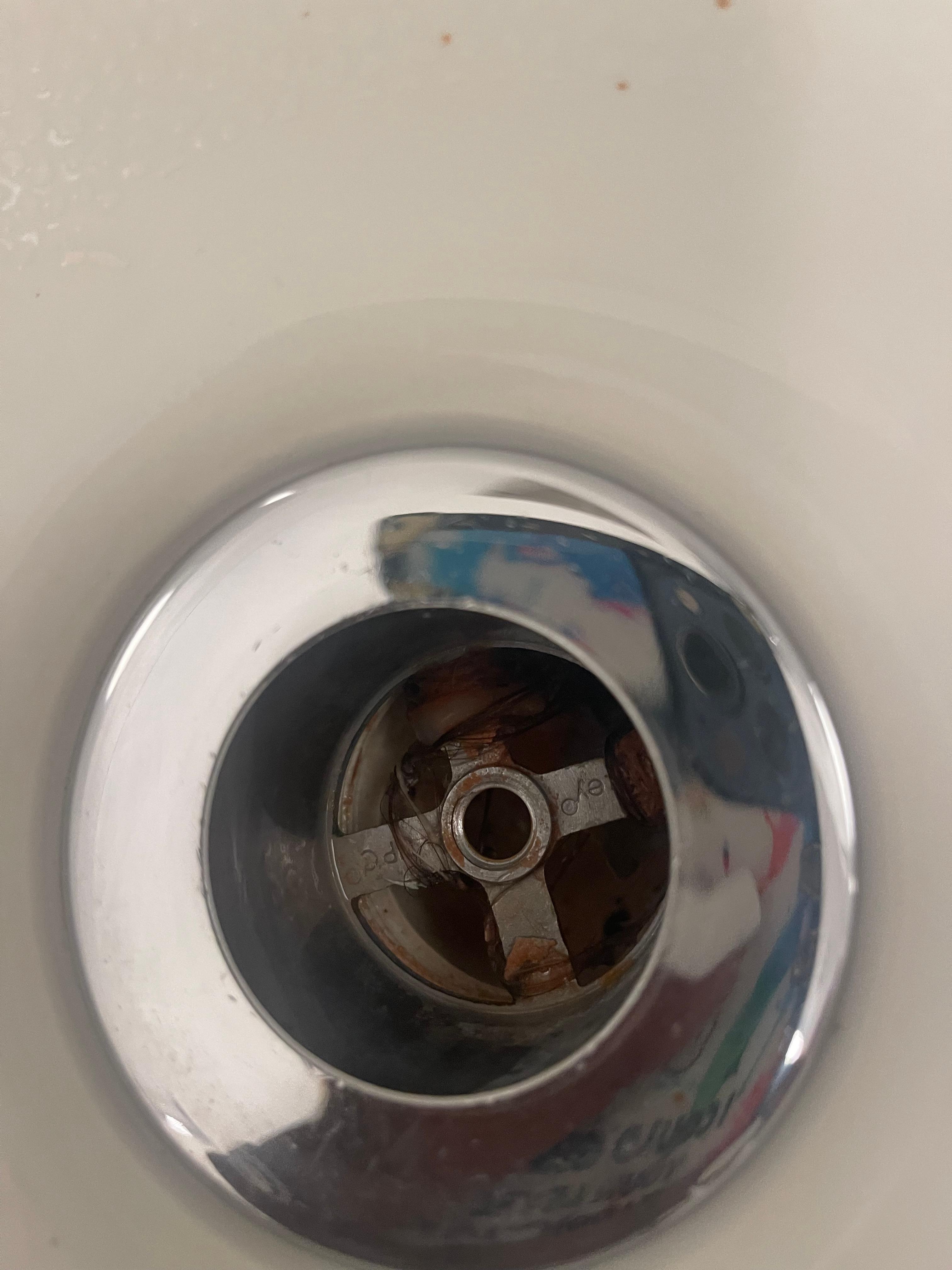This drain had food particles and pencil shavings in it 