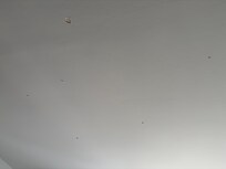 Holes/chips on ceiling
