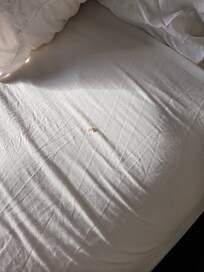 Stained sheets