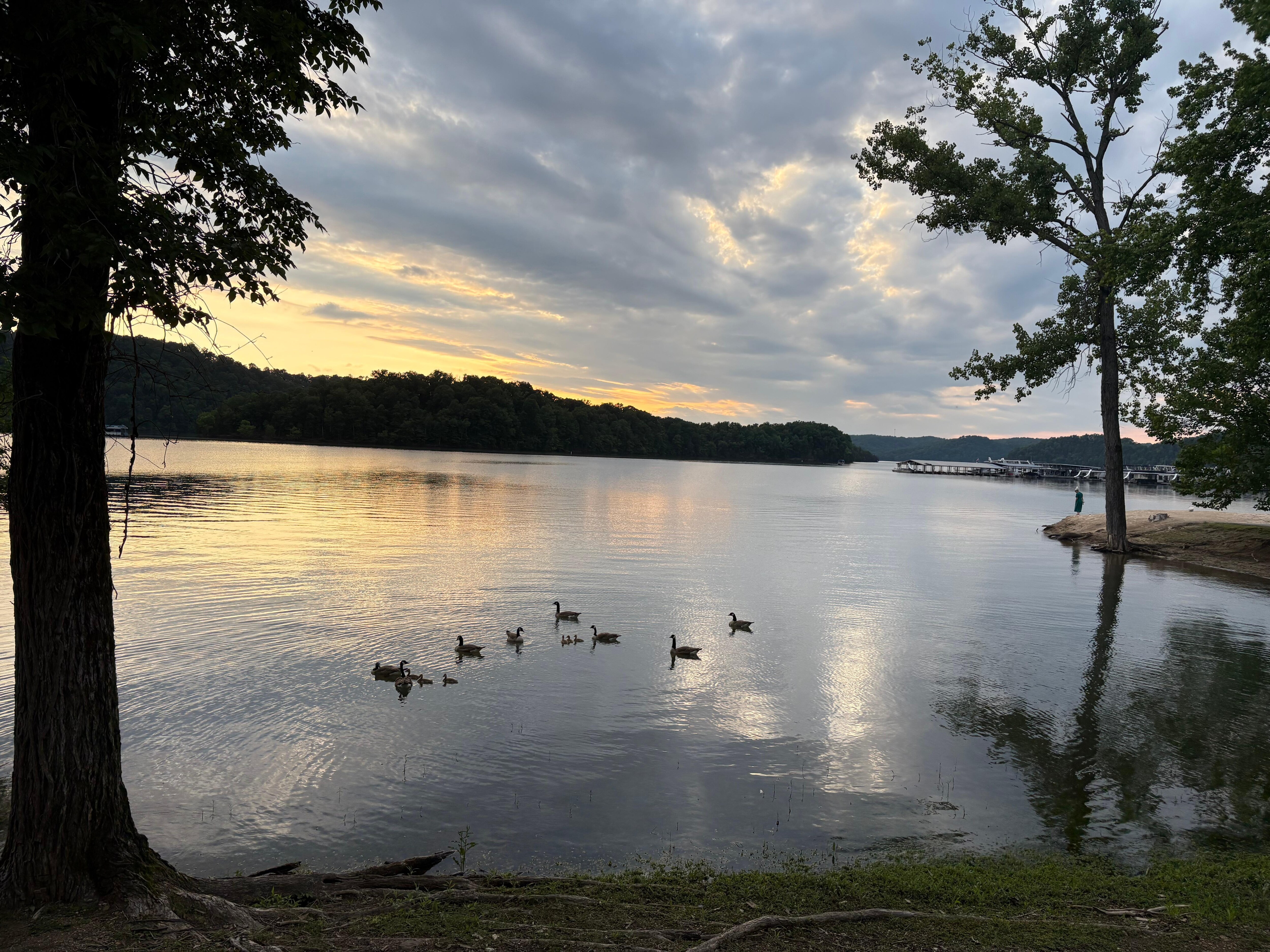View from the deck