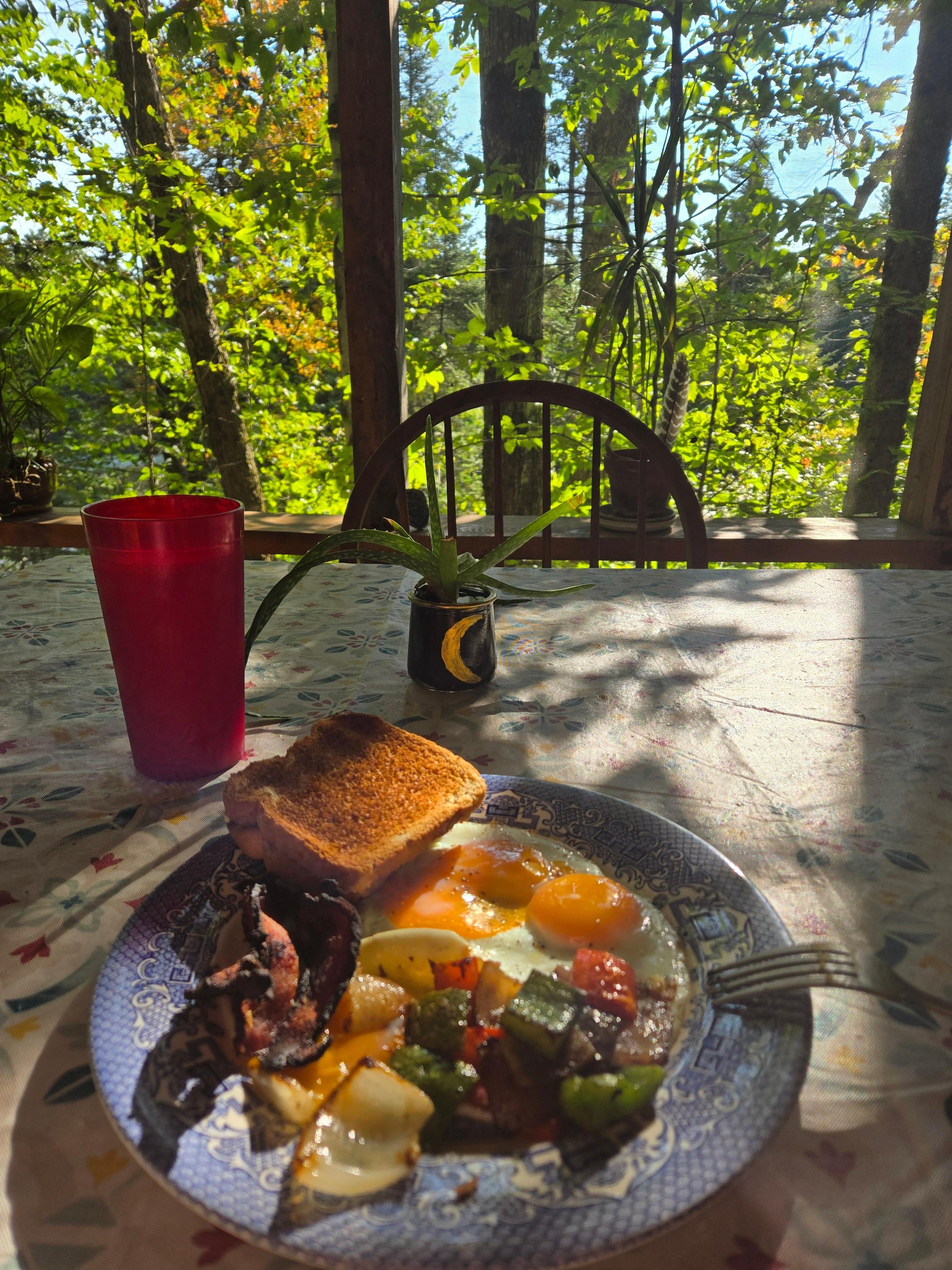 Breakfast my first morning out in the screened in porch.