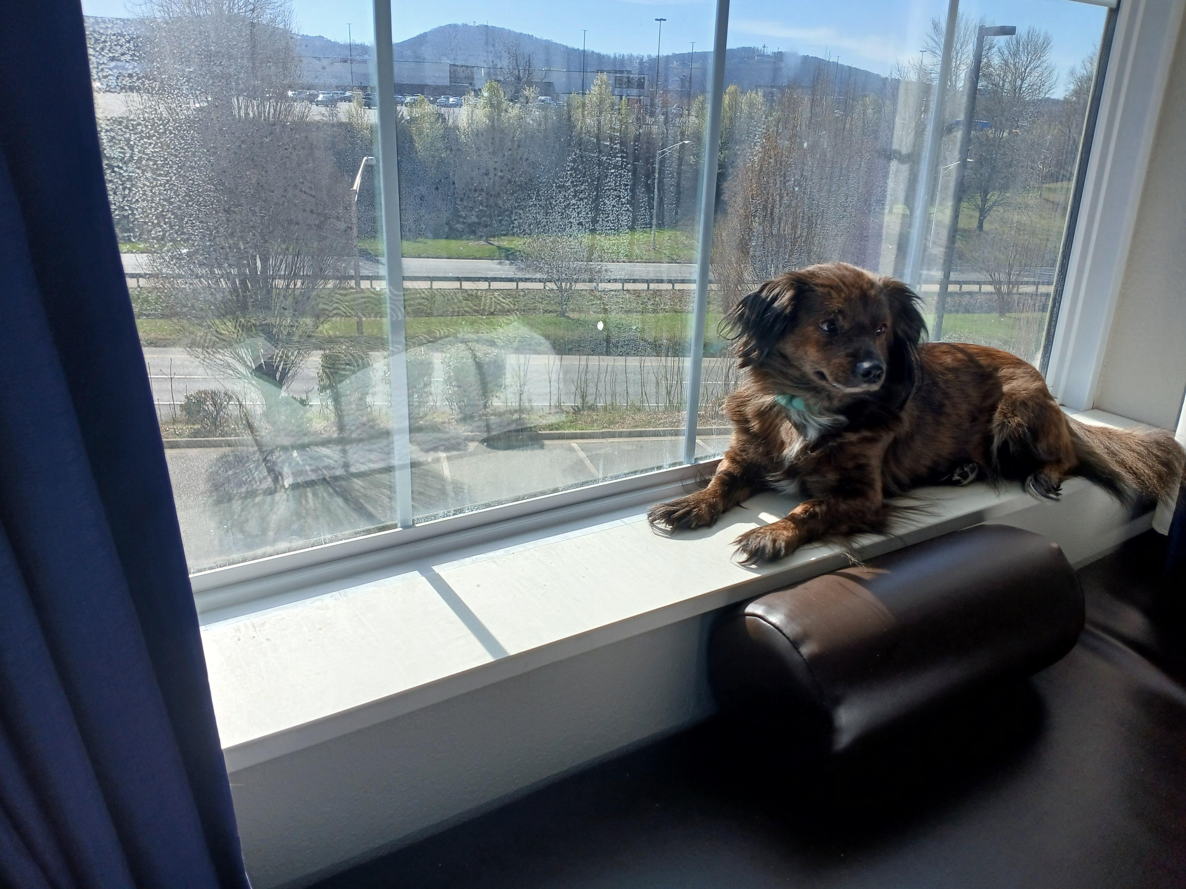 Soaking up the morning sun.