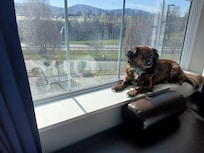 Soaking up the morning sun.