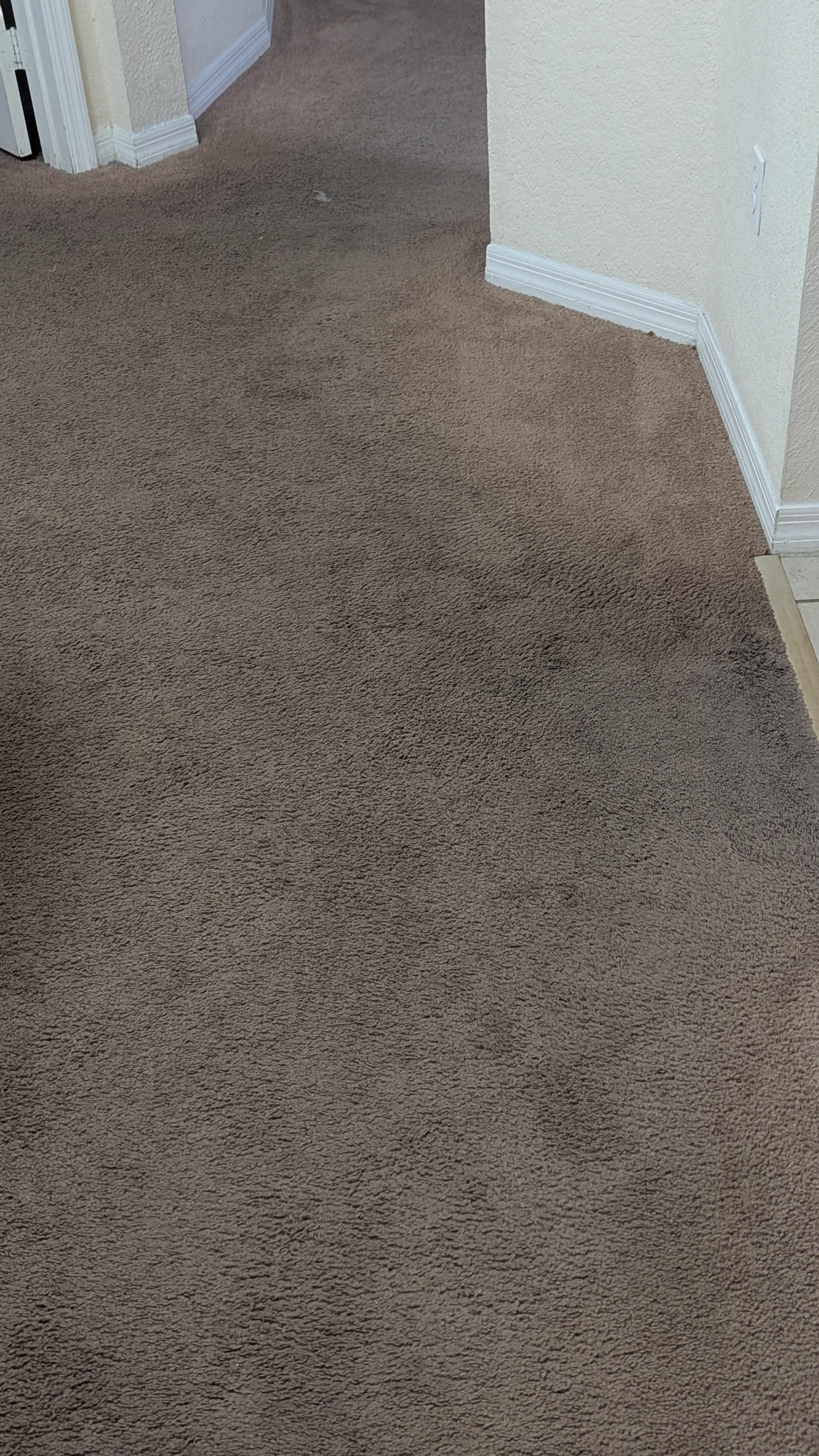Photo 1 of carpet