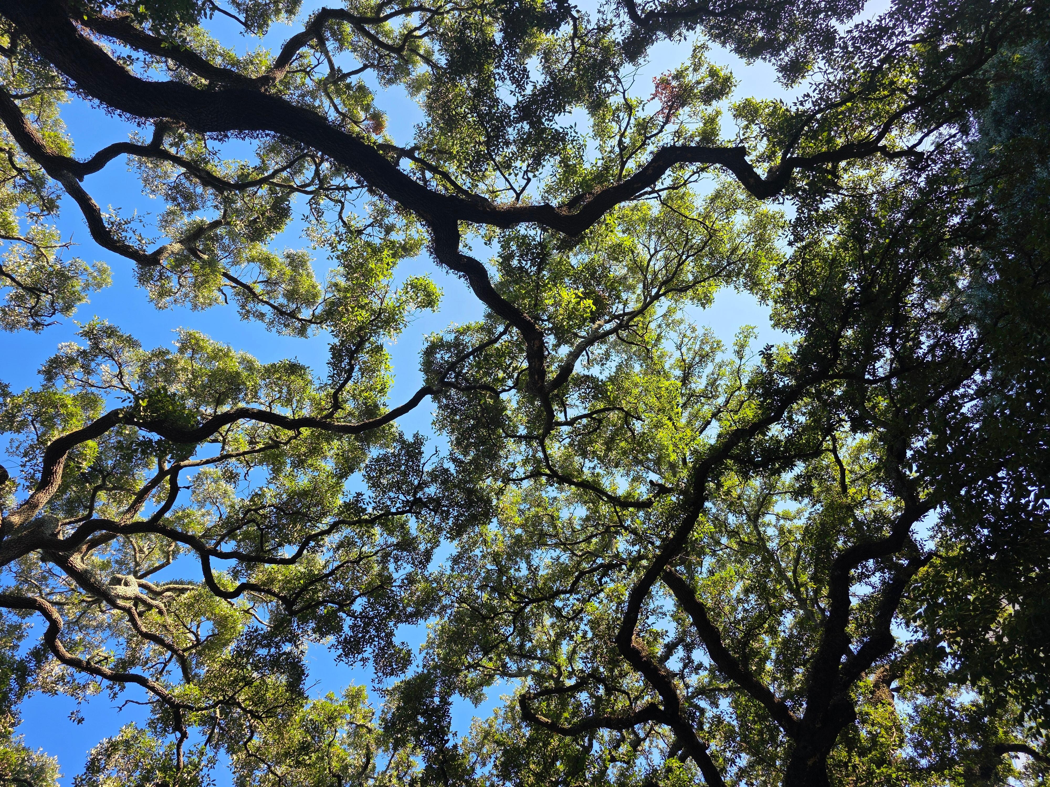From time to time look up and you will see this.