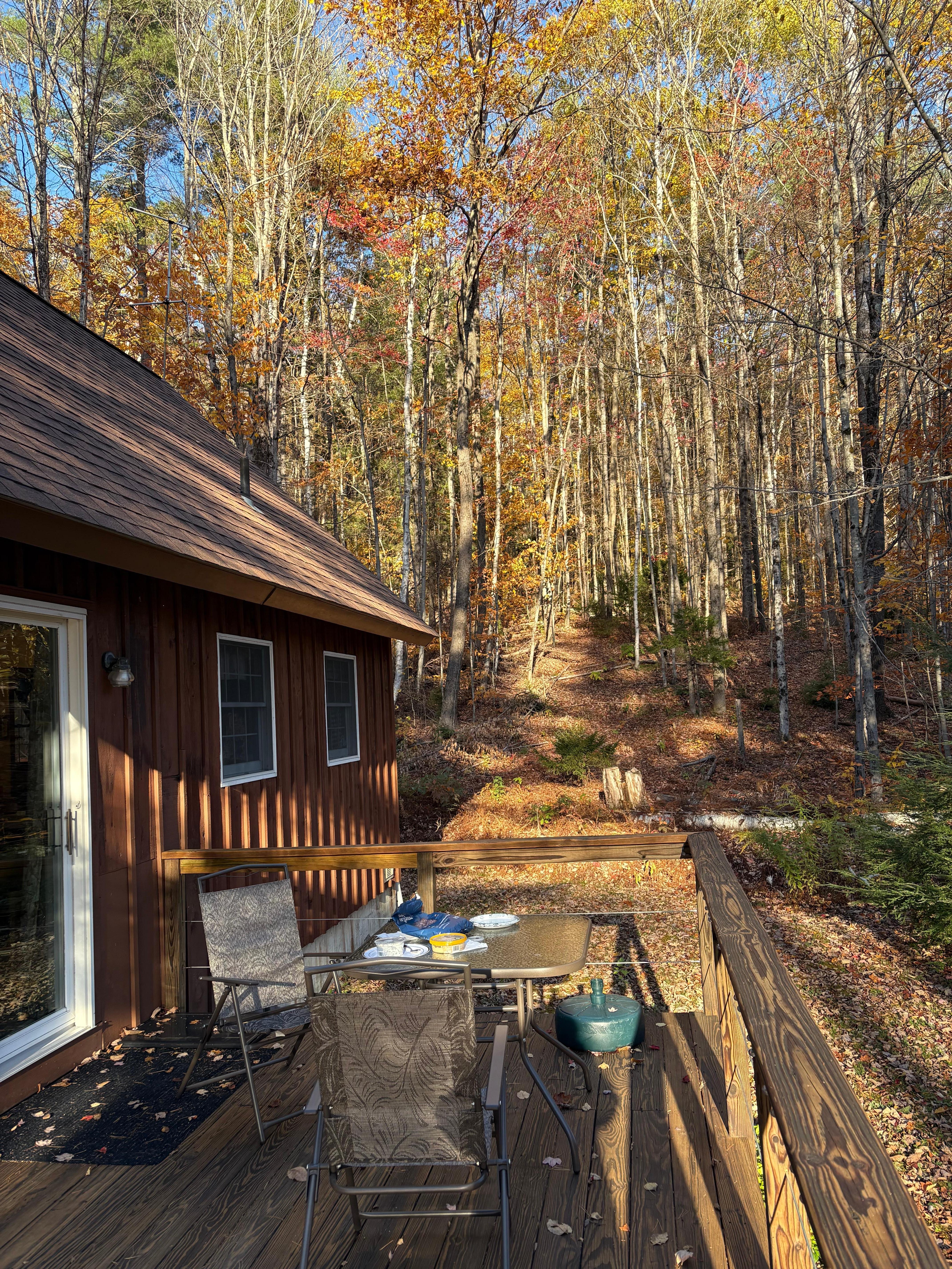 Outside enjoying the deck while the sun was still out 
