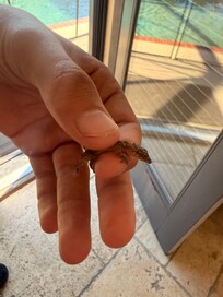 Found inside. We thought it was cool.