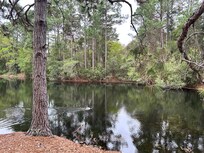 Pond close to the pool