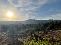 Morning sun