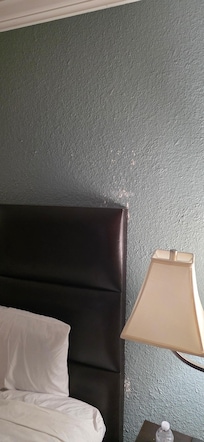 Damage to walls needs to be painted