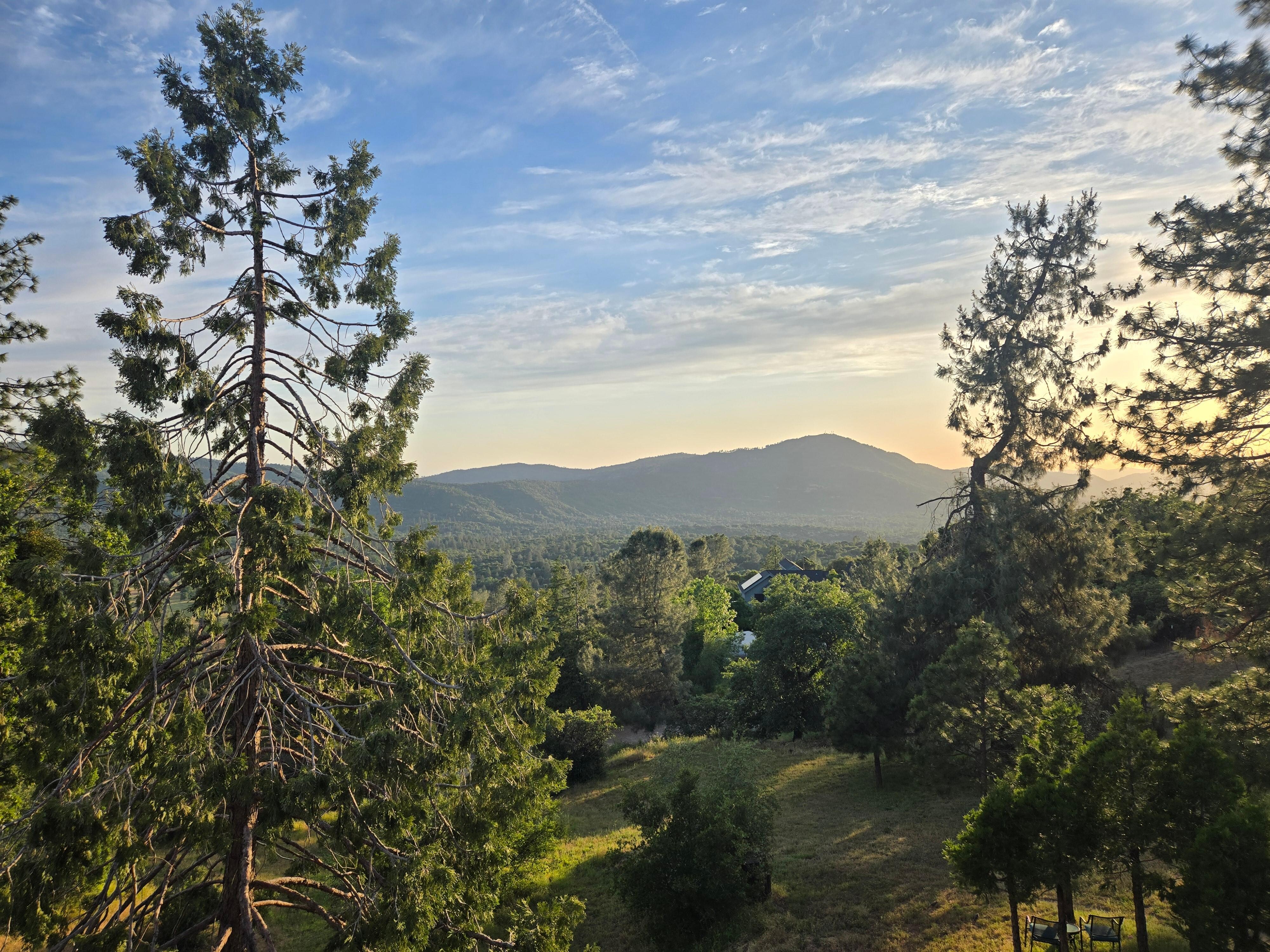 View is legit