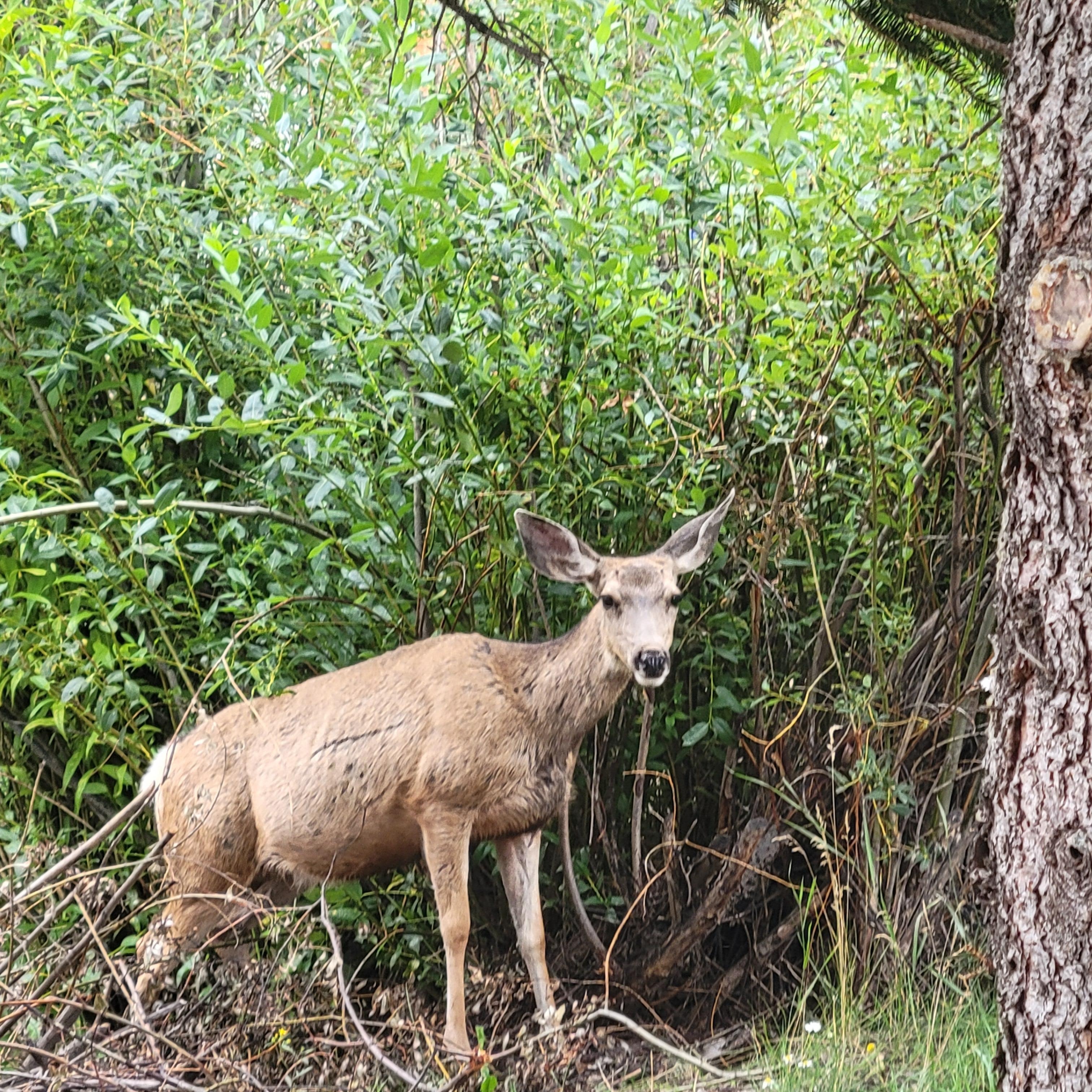 We had visitors every day! Our grandkids were so excited. 