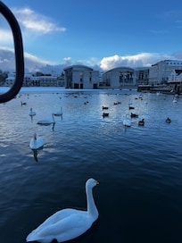 This beautiful lake just behind the hotel!!