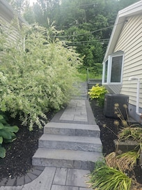 Cannot walk down the path to get into the house without going through this bush.