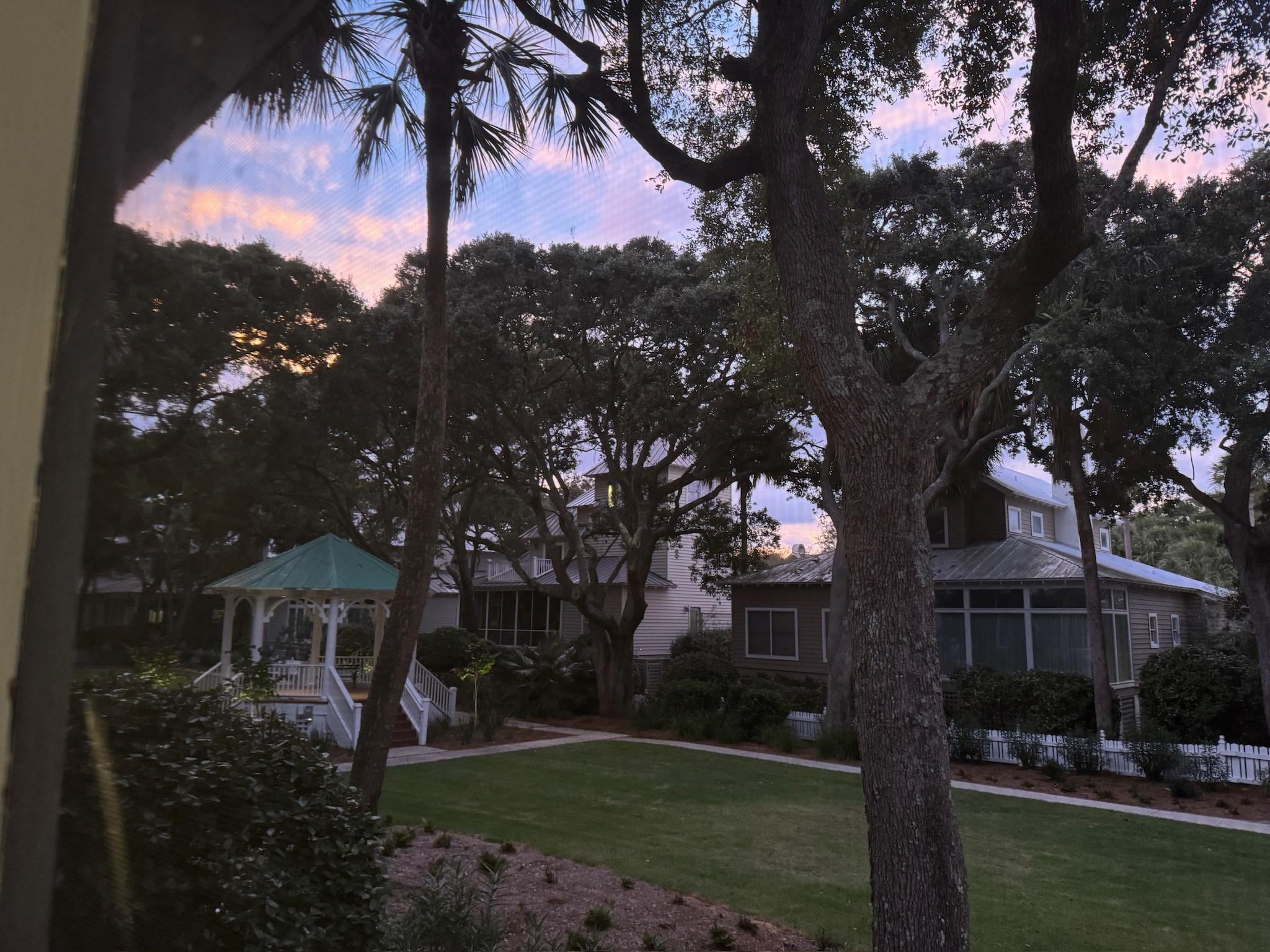 View from back screened porch