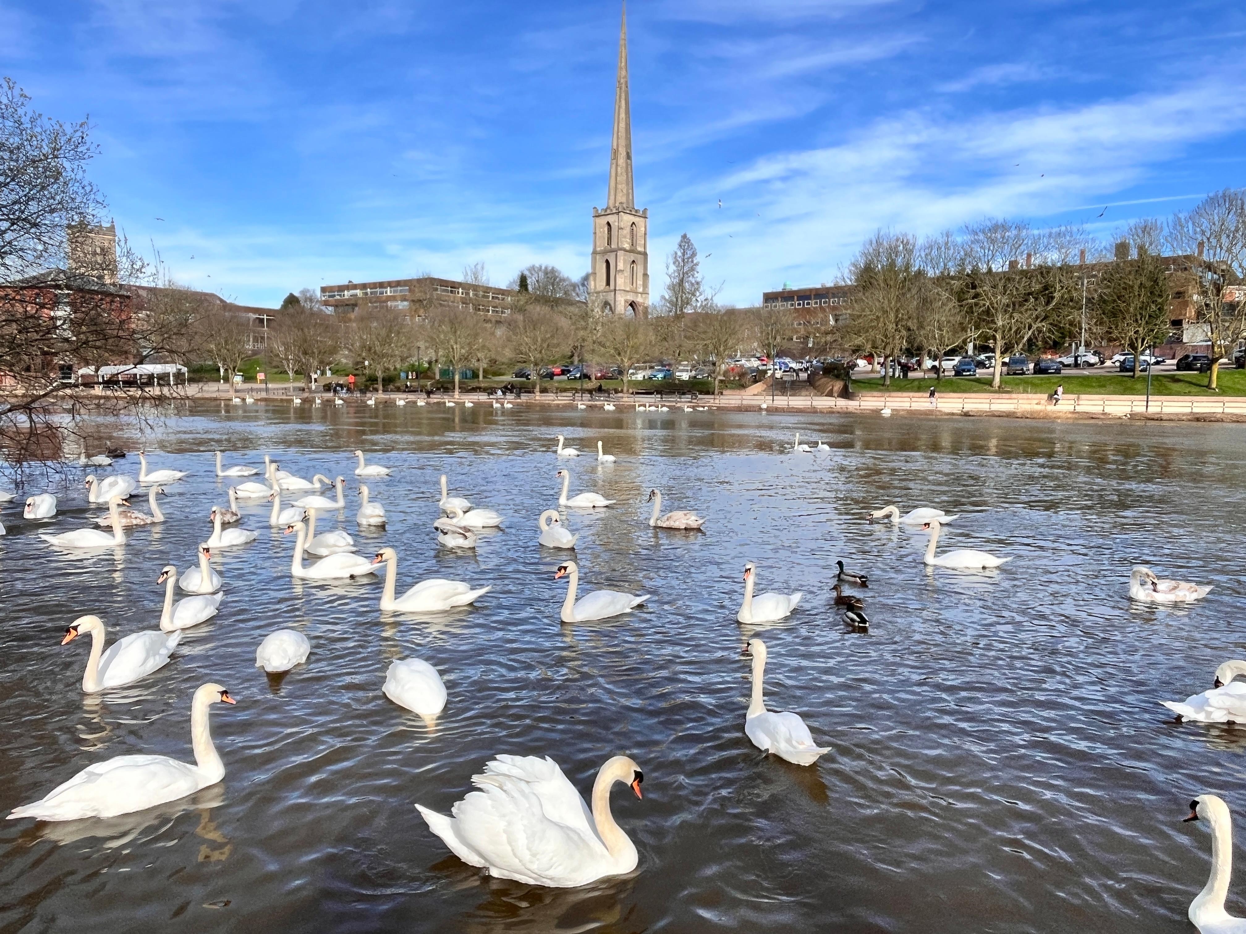 Très près de la rivière Sévern et d’une longue balade 