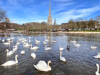 Très près de la rivière Sévern et d’une longue balade