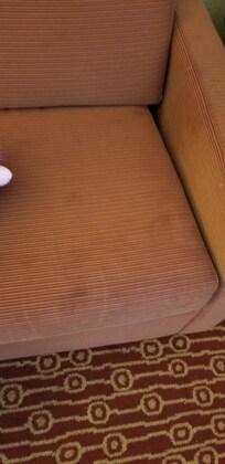 Dark areas are stains