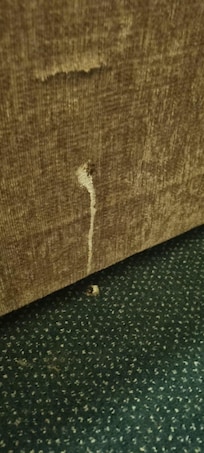 God knows what this is down the side of the bed