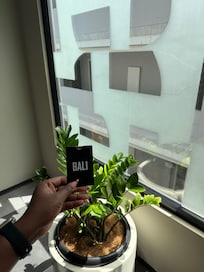 Iâm content creator
Maybe next time we can collab .