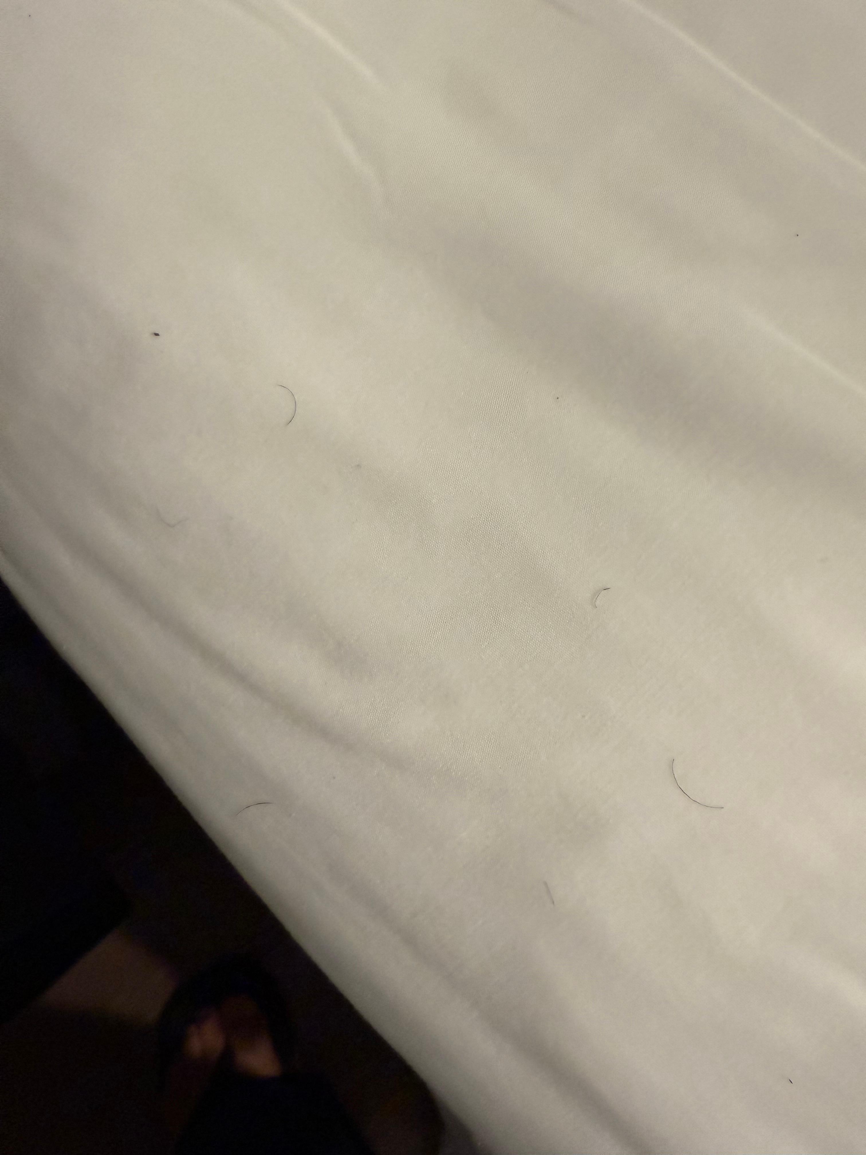Dirty sheets 