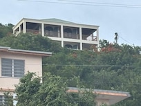 Tree top home for the week