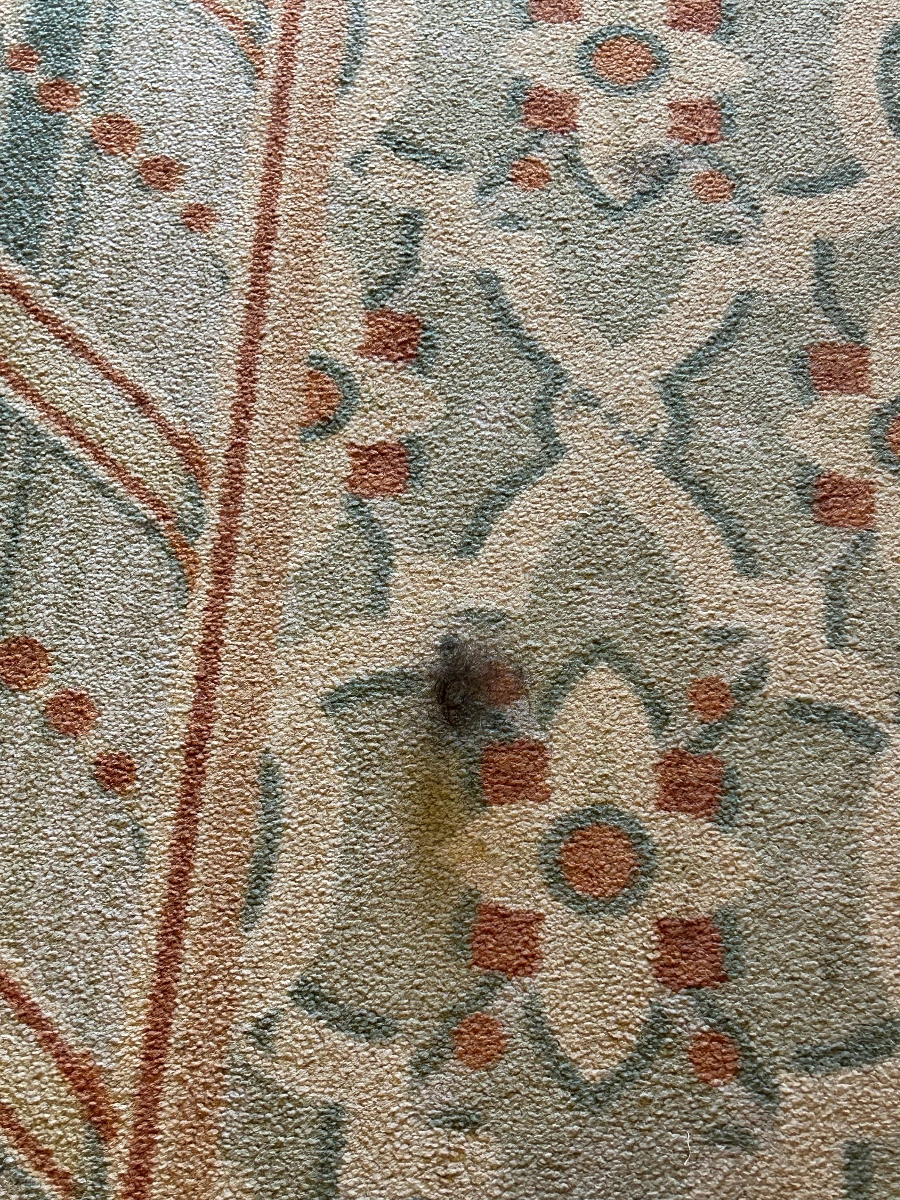 Very large hairball in the common hallway of one building. 