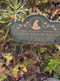 Picture of beautiful garden
