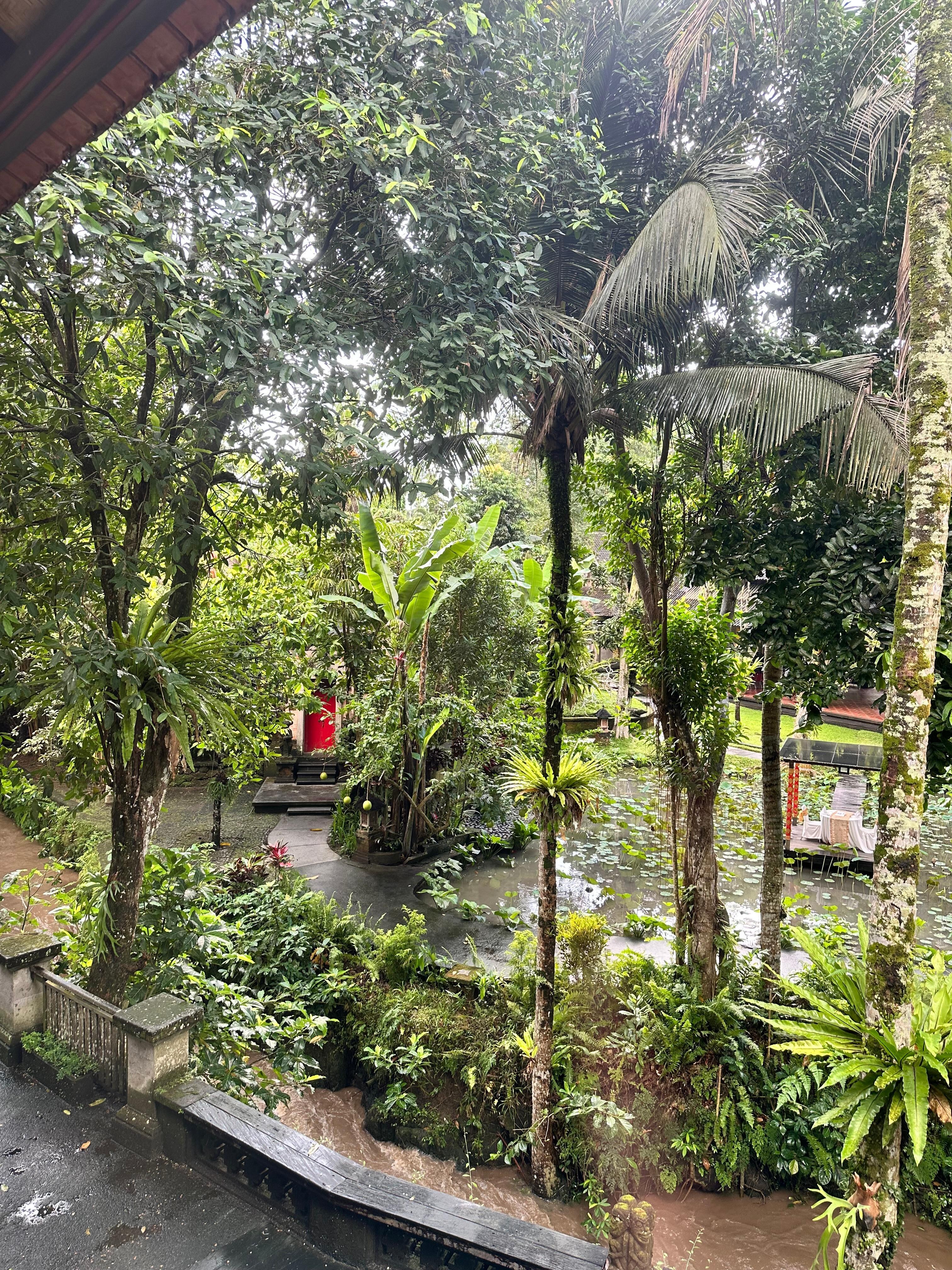 View from our hotel window. 