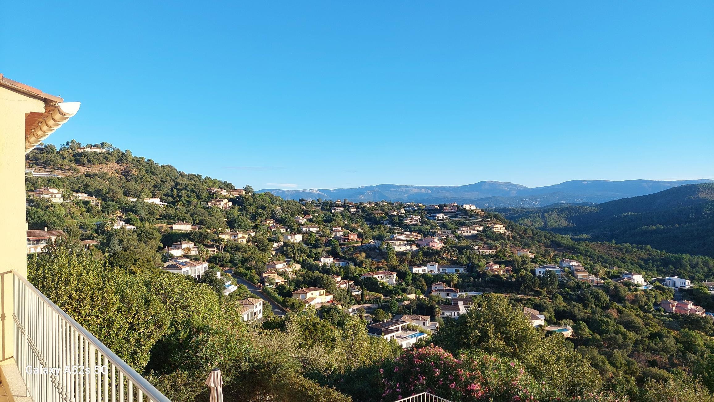 Blick am Morgen von der Terrasse