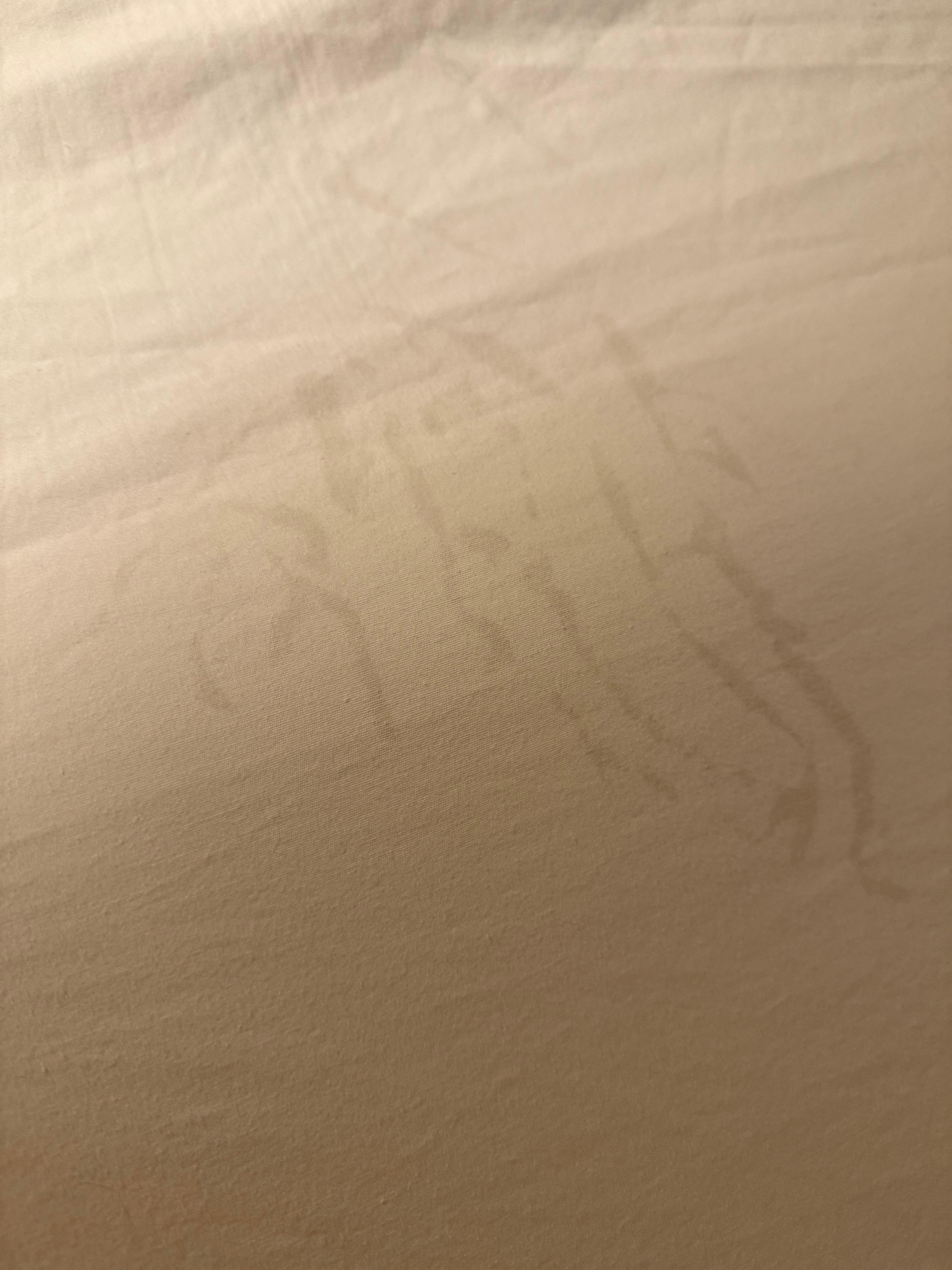 Bed sheets dirty look like they haven’t been cleaned