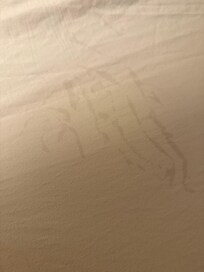 Bed sheets dirty look like they haven’t been cleaned