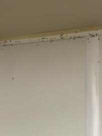 This was the corner of main bedroom