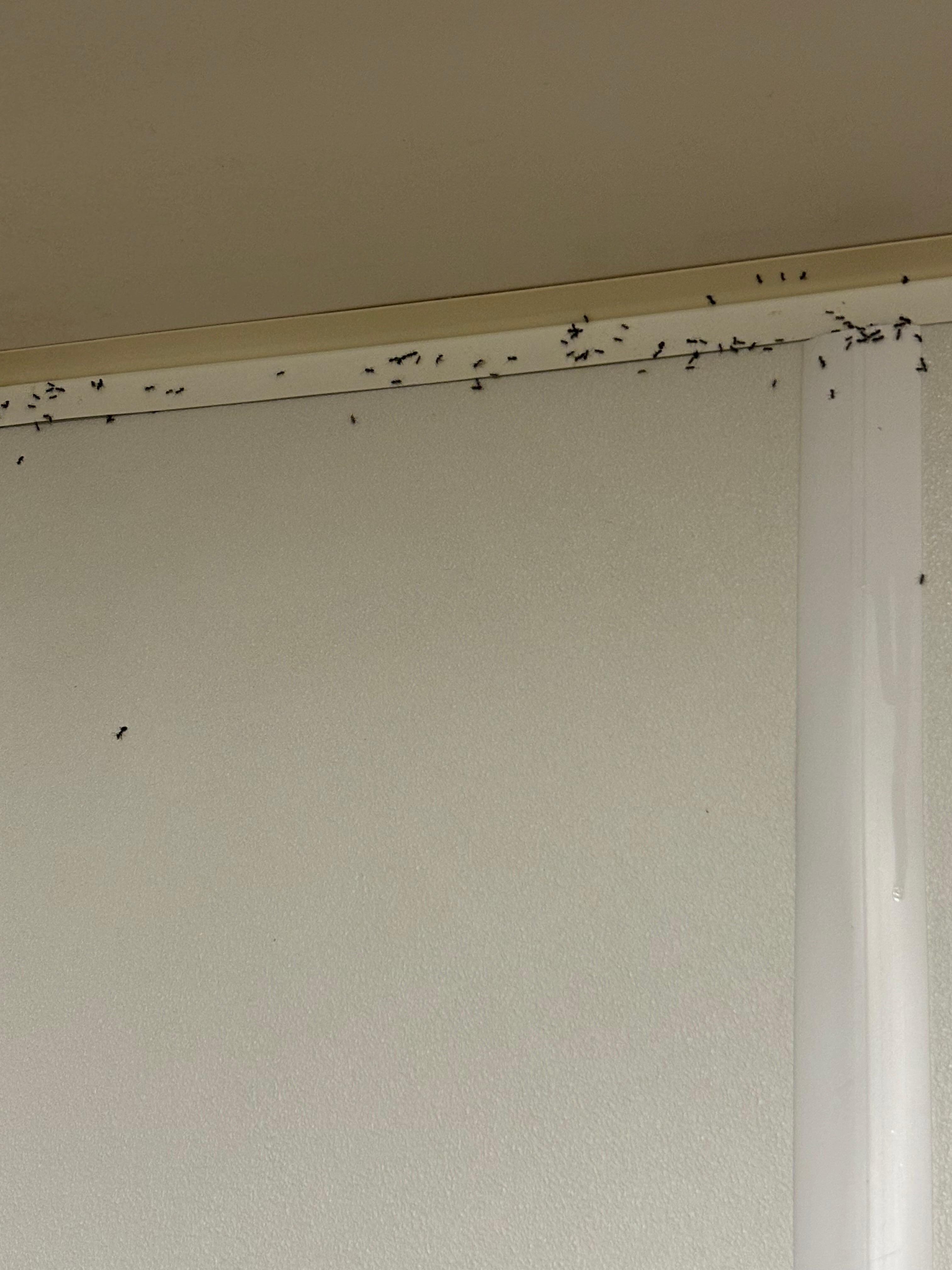 This was the corner of main bedroom 