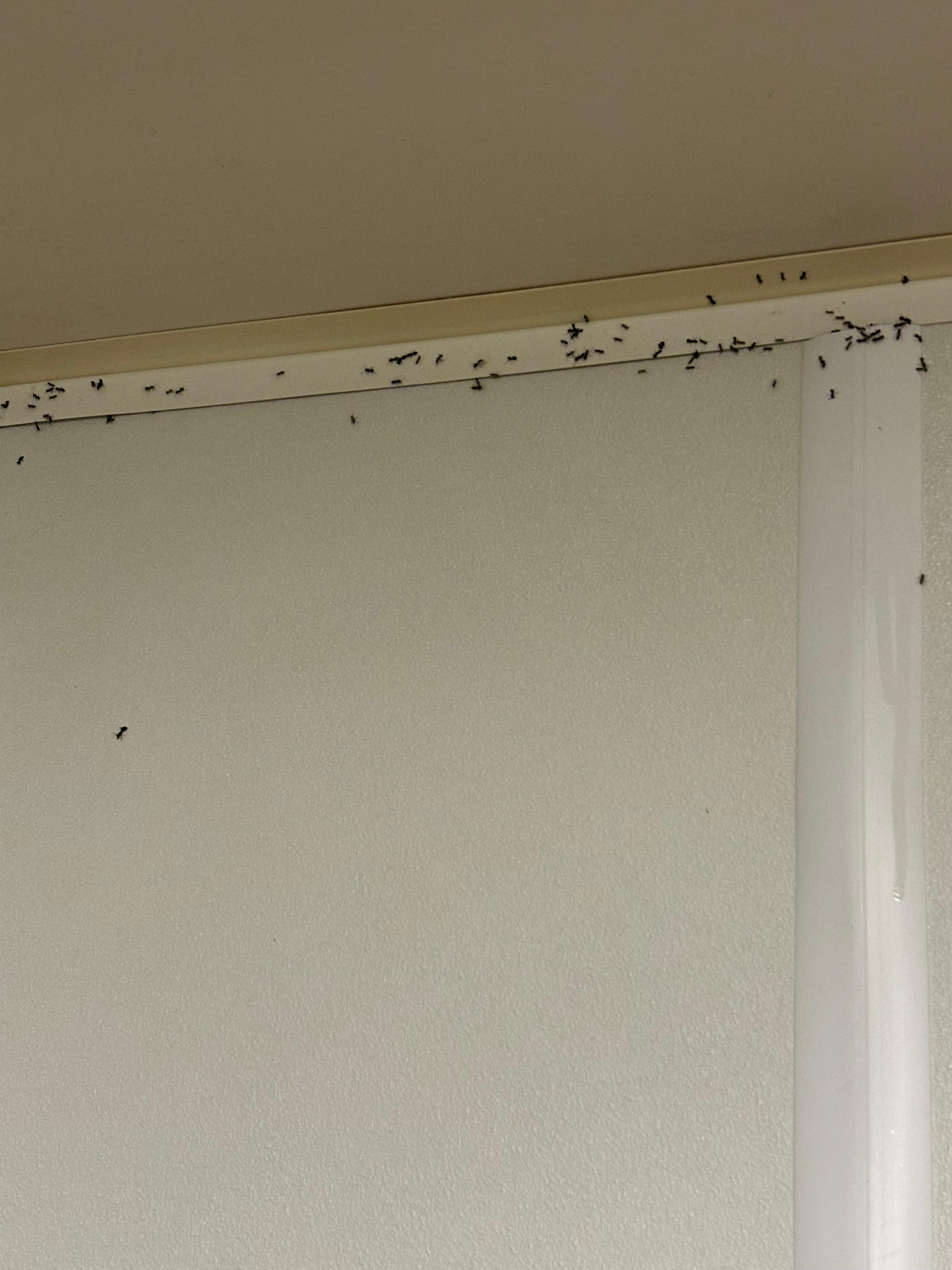 This was the corner of main bedroom