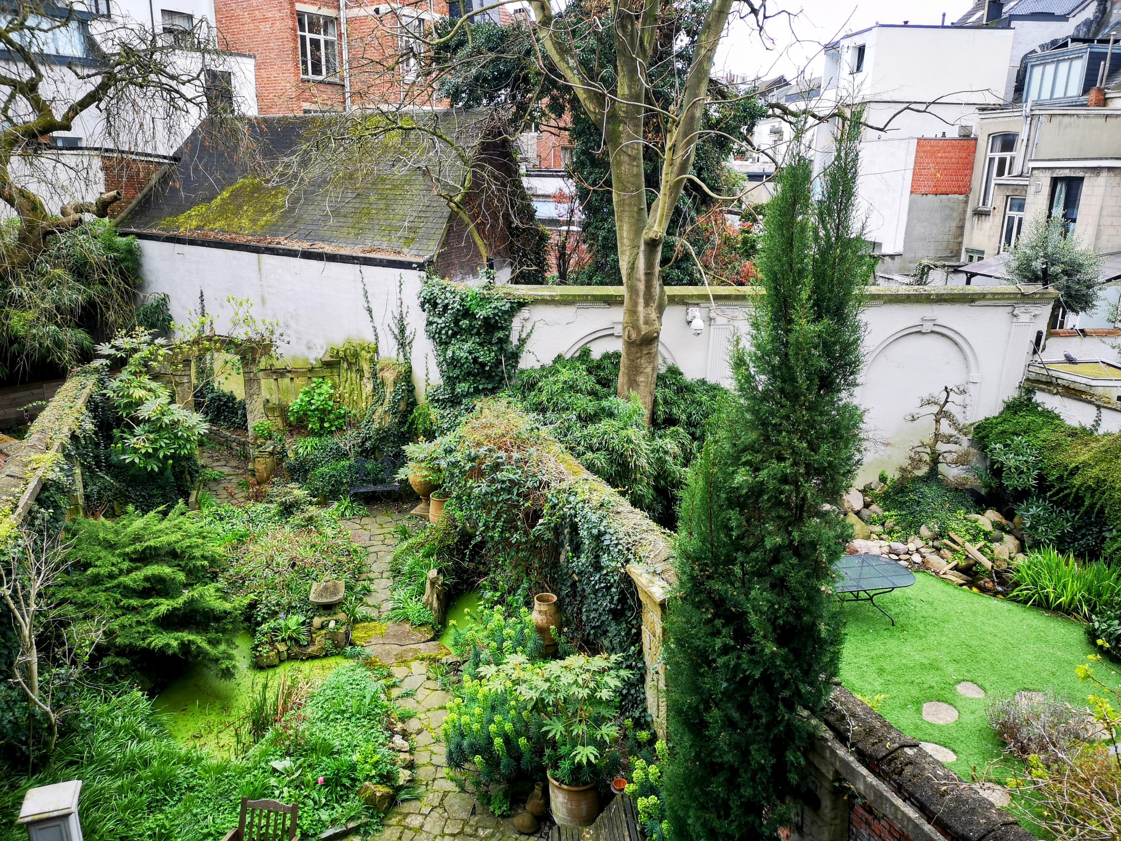 The garden from the terrace