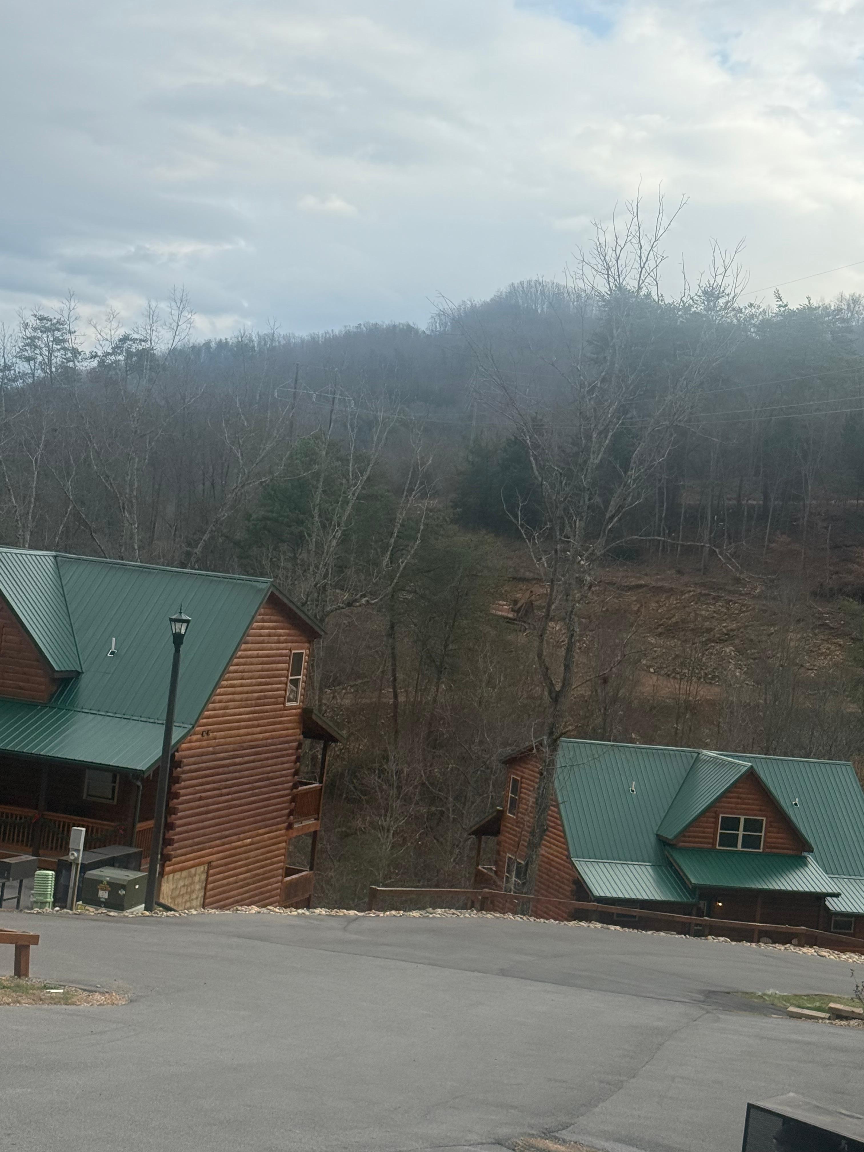 Cabins around the area 