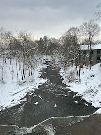The house is so close to the falls and the town