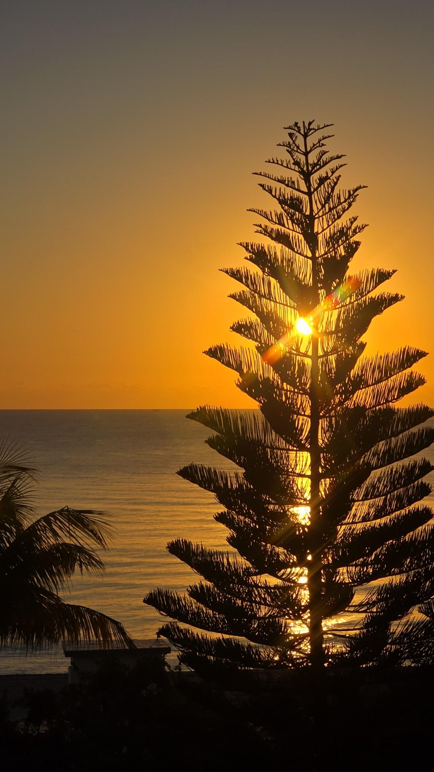 Morning sunrise from the patio